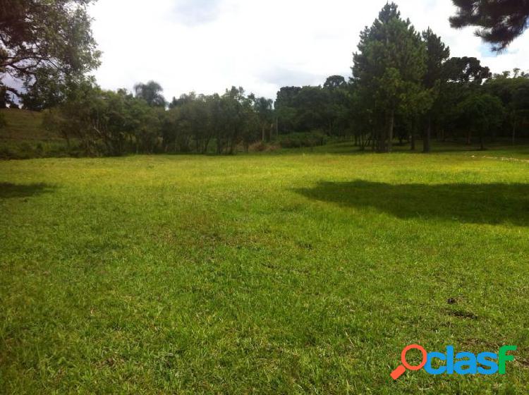 Terreno com 78000 m2 em SÃ£o JosÃ© dos Pinhais -