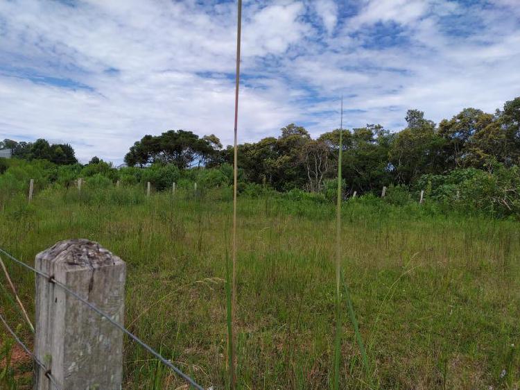 Terreno para Venda em São José dos Pinhais, Barro Preto