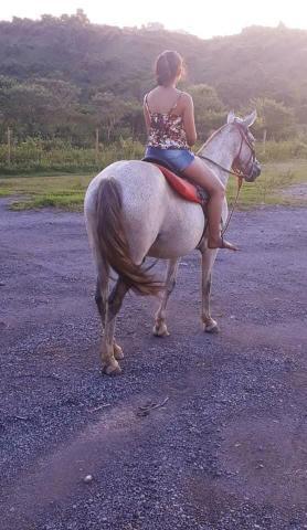 Vendo égua crioula com Potra mangalarga de 5 meses