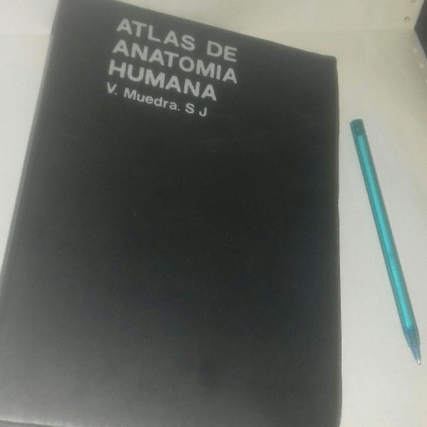 atlas de anatomia humana slides para estudos de medicina V.