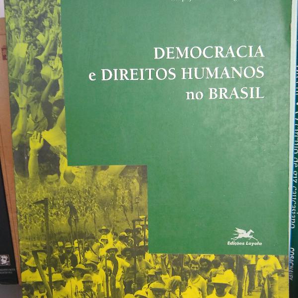 direitos humanos e democracia no brasil