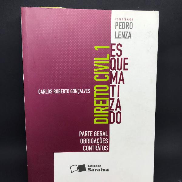 livro direito civil 1 esquematizado