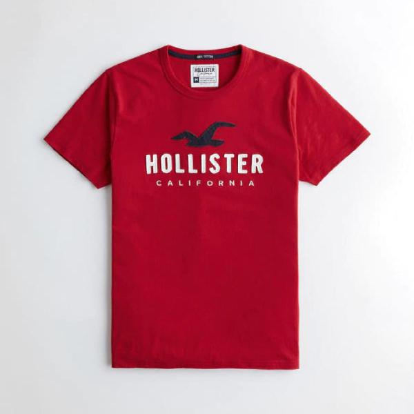 camiseta hollister masculina original