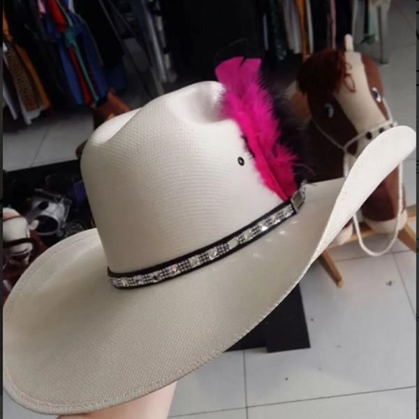 chapeu country feminino de strass sem pena mundial aba 12 cm