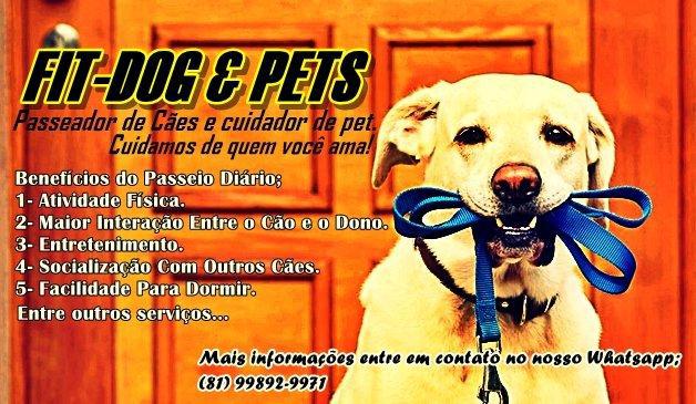 PASSEADOR de cães (cuidador de pets)