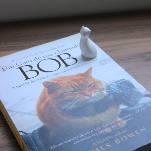livro: um gato de rua chamado bob