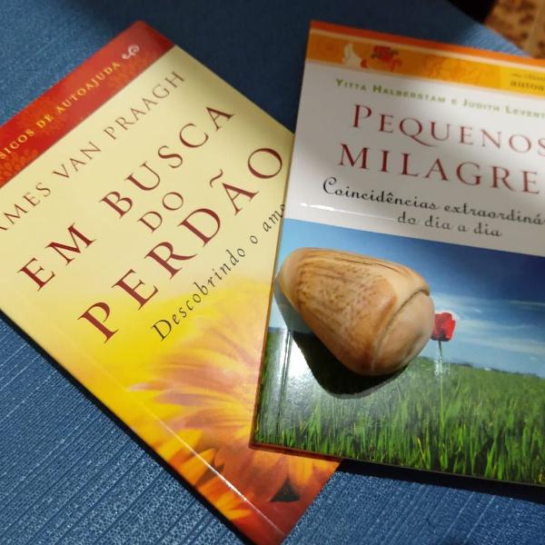 livros: pequenos milagres em busca do perdão