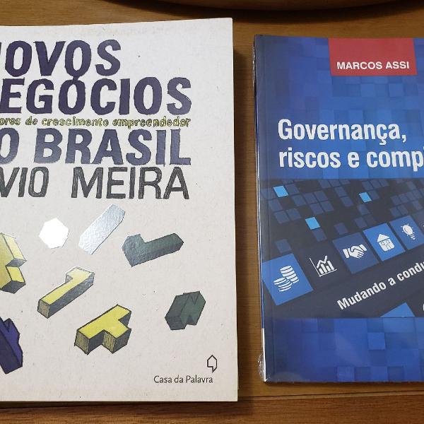 novos negócios no Brasil, Silvio Meira e governança, risco