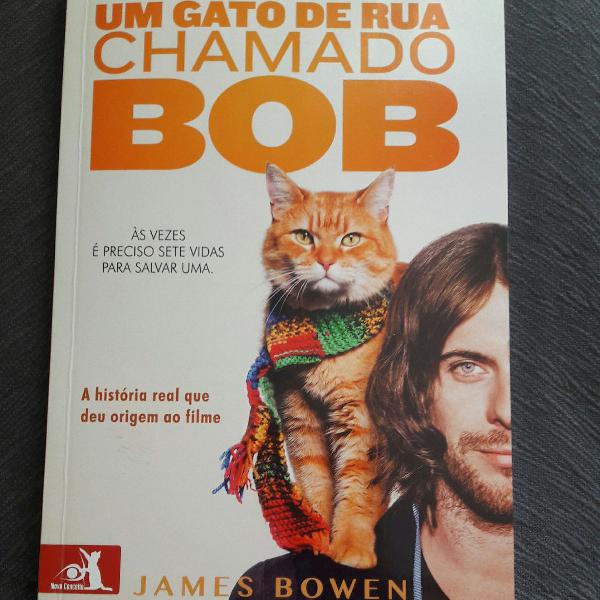 um gato de rua chamado Bob