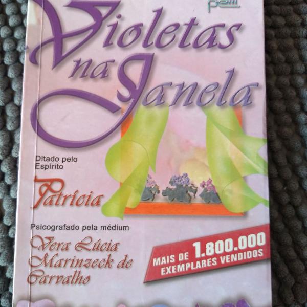 violetas na janela