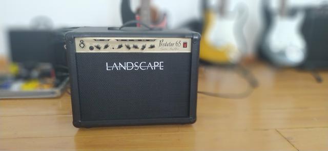 Amplificador Landscape Predator 65W