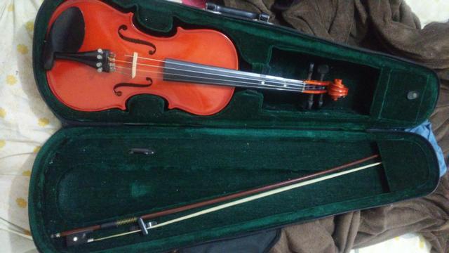 Violino Michael R$350,00