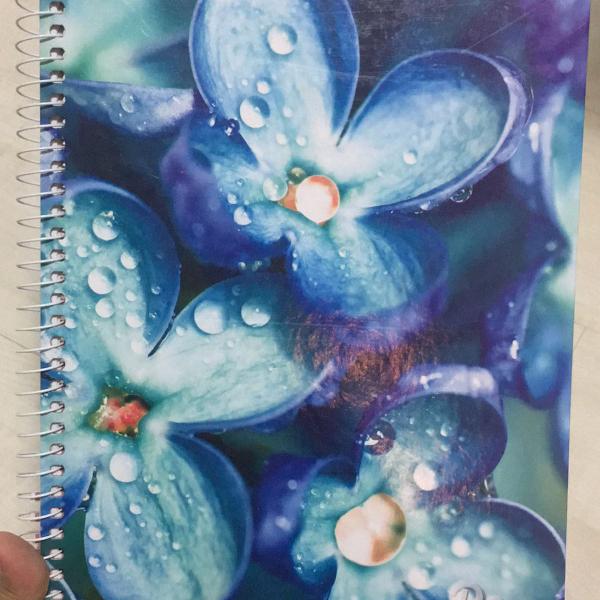caderno flor azul de uma matéria
