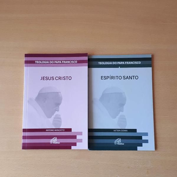 livros - kit teologia do papa francisco - 2 livros por 1