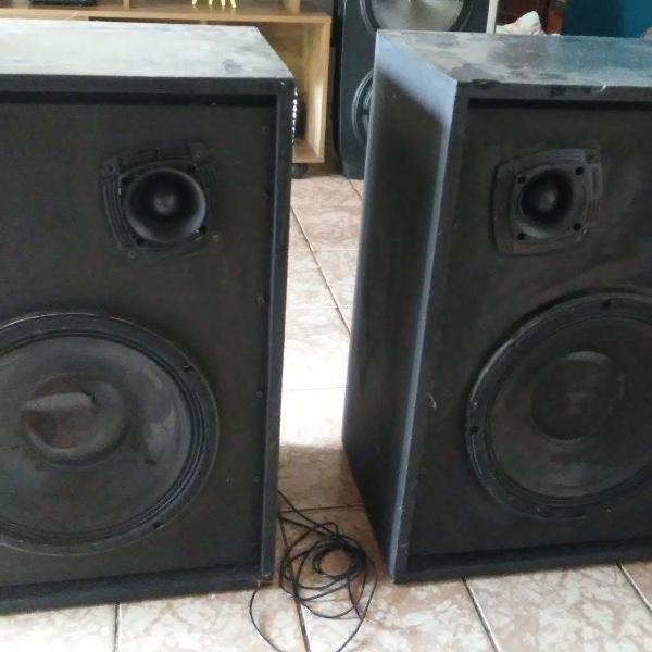 2 snake pro-600 watts+twiters