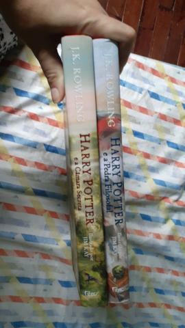 Dois livros Harry potter
