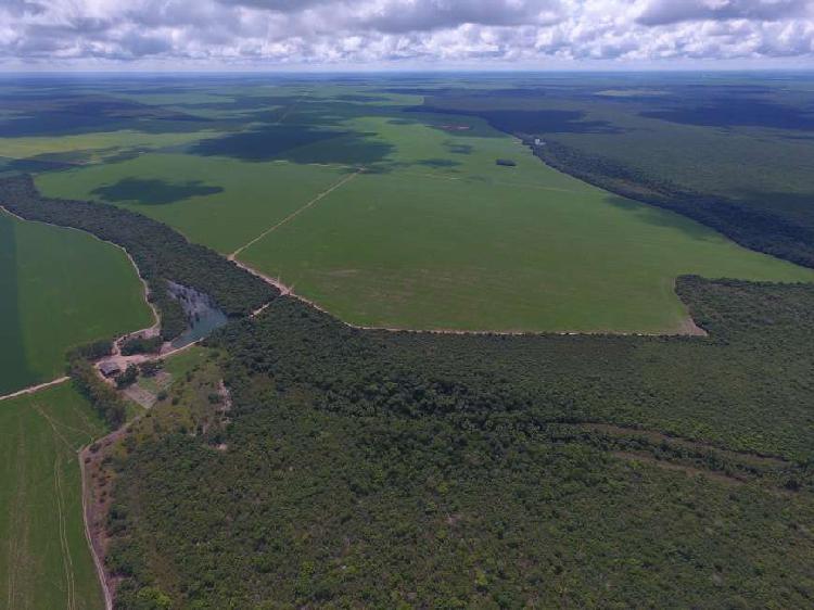 Fazenda - venda 4.526Ha Região Diamantino Mato Grosso