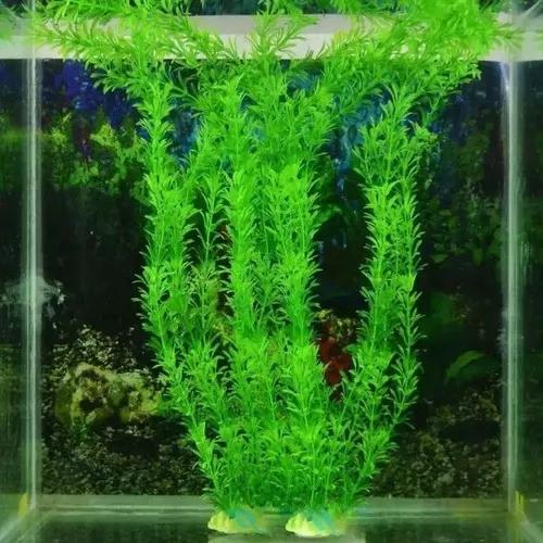 Planta Artificial 32cm Para Aquario Aquarismo Evoluzion Fish