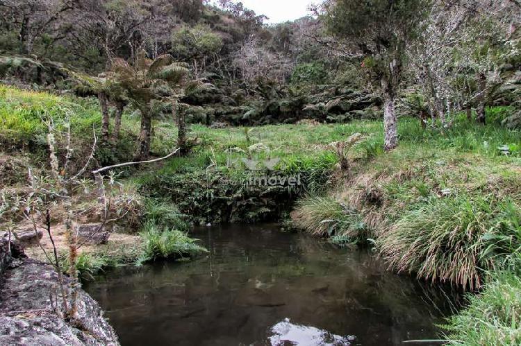 Sítio em Campos do Jordão - Área com 48.000m2 e vista