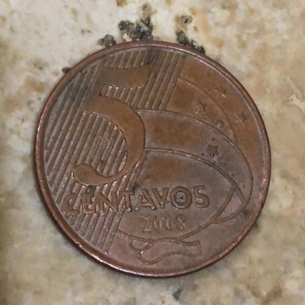 5 centavos 2008