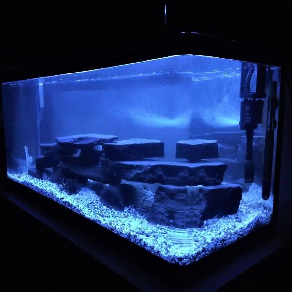 aquário boyu elegance aquarium* modelo ea-100 com vidro
