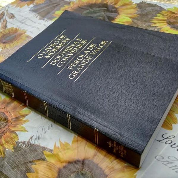 o livro de mórmon doutrina grande