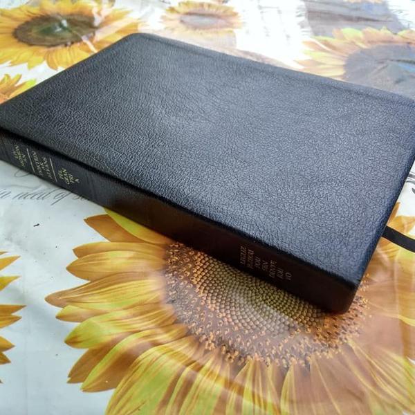 o livro de mórmon em turco ed. luxo