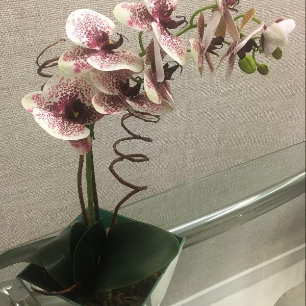 orquídeas artificiais