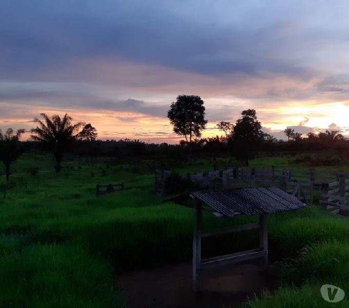 Vendo chácara no amigo do campo machadinhoRondônia