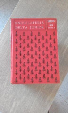 Enciclopedia Delta Junior