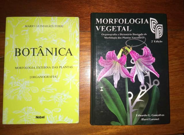 Botânica: morfologia externa das plantas (Organografia).