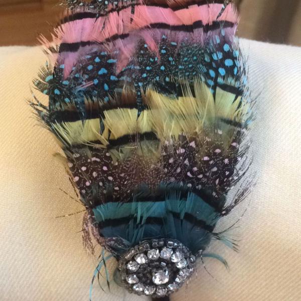 Plumas