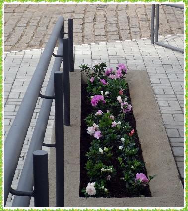 Jardinagem e Corte de Grama 11 2153-9405