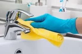 Higienização E Limpeza