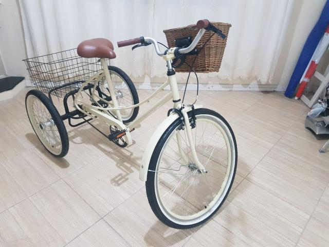 Vendo bicicleta triciclo com pouquíssimo uso