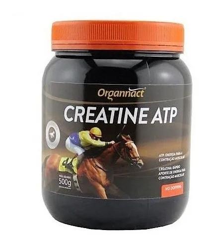 Creatine Atp Organnact - 500 Gr