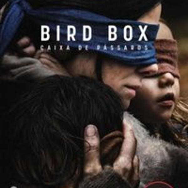 2 livros bird box netflix e escola equitação moças