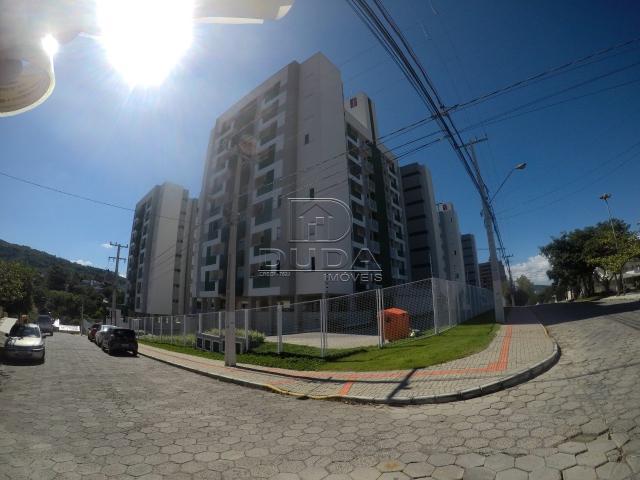 Apartamento para alugar com 2 dormitórios em Vera cruz,