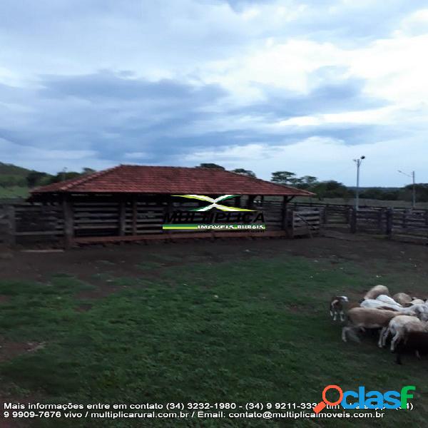 Fazenda a venda em Campina Verde MG 338,48 há 72 alq.