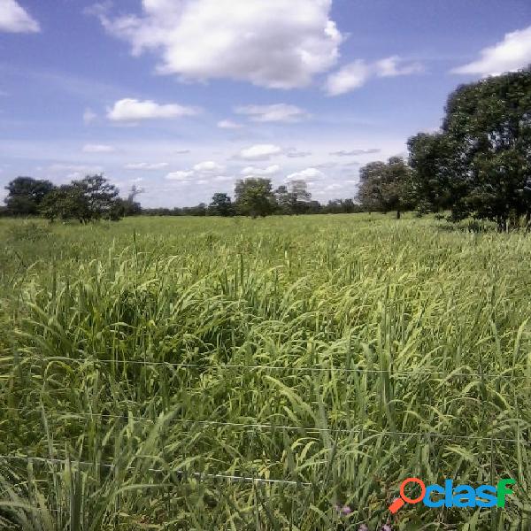 Fazenda a venda em Paracatu MG ­200 Ha 41 alq. Agricultura