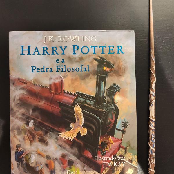Harry Potter e a pedra filosofal - livro ilustrado grande,