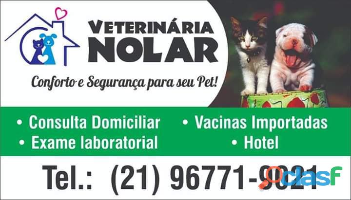 VETERINÁRIA EM CASA