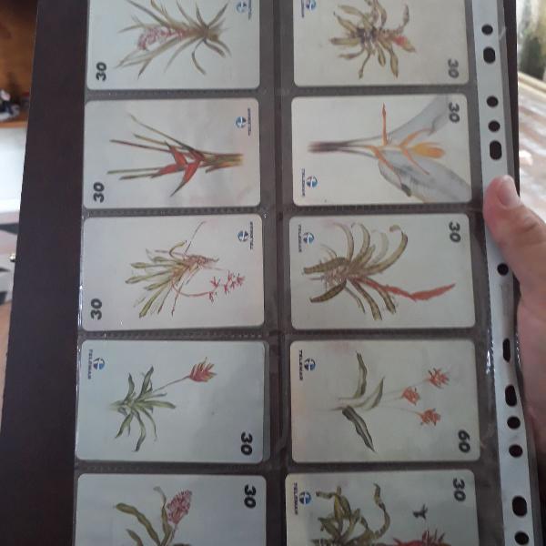 série cartão telefônico ilustrações botânica