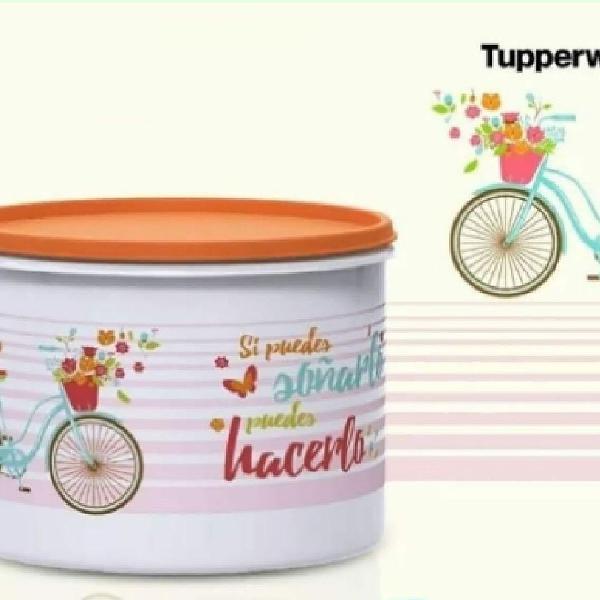 1 Tupper Caixa Bike 1,7Litros