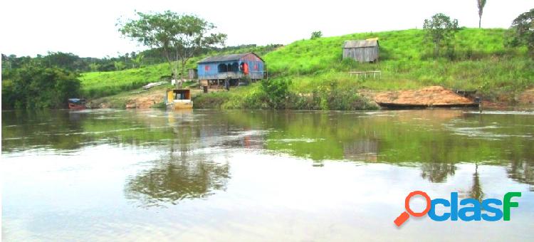 AMAZONAS-AM - NOVO ARIPUANÃ, 132.000 HECTARES C/