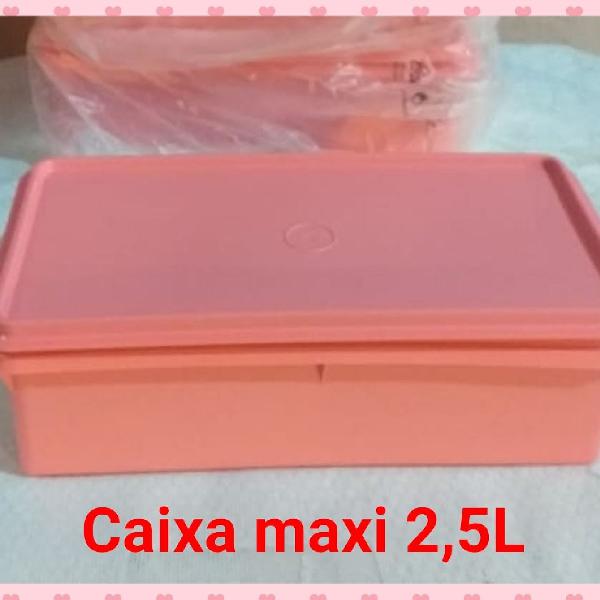 Caixa maxi 2,5 L Rosa