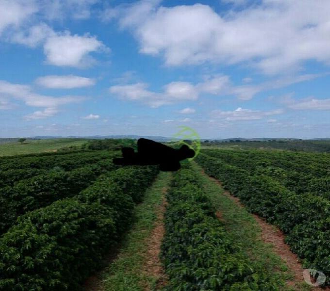 Excelente fazenda café cerca 70km Varginha- MG