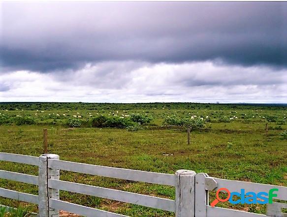 MATO GROSSO - MT - SAPEZAL FAZENDA C/ 1970 HECTARES