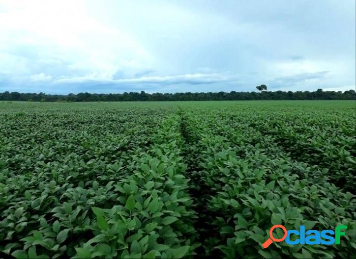 SINOP / MATO GROSSO - FAZENDA C/ 1729 HECTARES SOJA