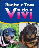 Banho e tosa da vivi